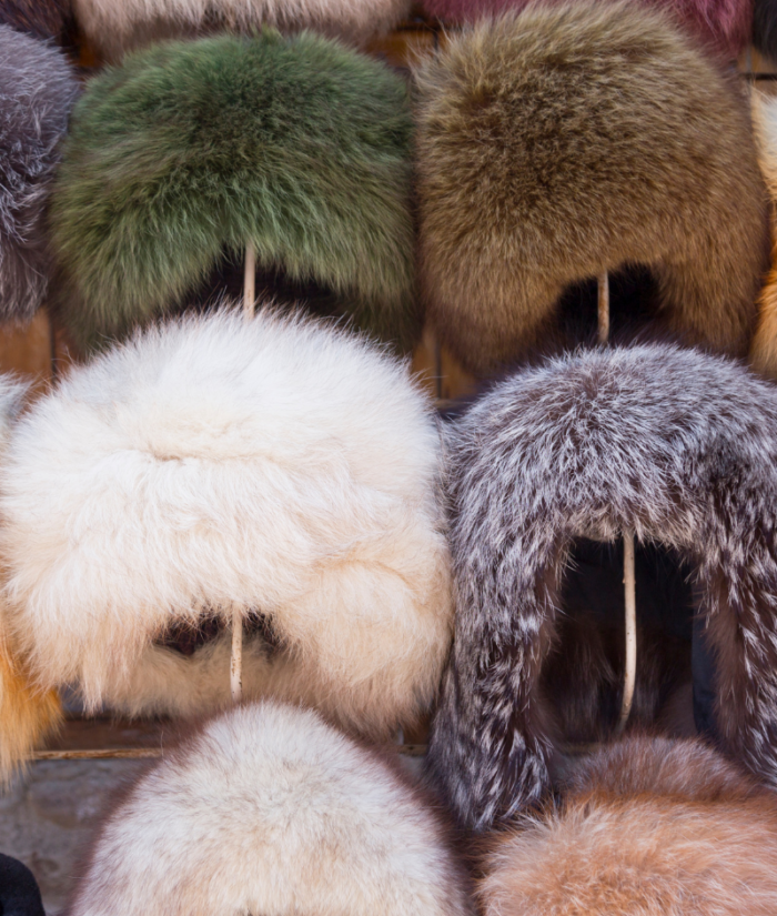 Winter Accessories, Fur Hats, Gloves, Beanies, Socks